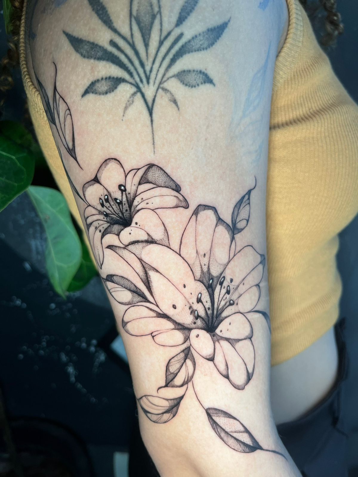Floral em destaque — trabalho de Caio Piccin